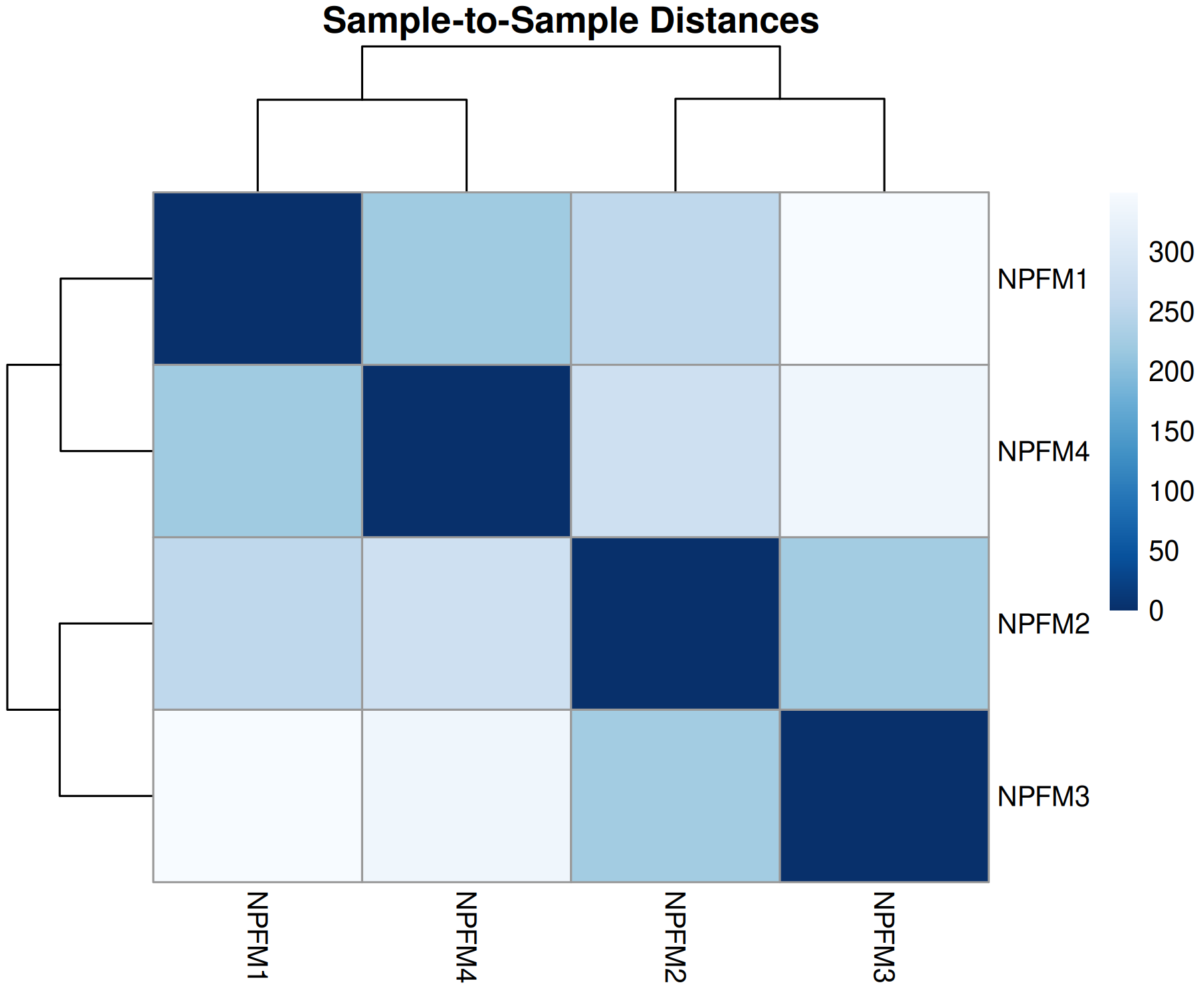 Sample Distance Matrix